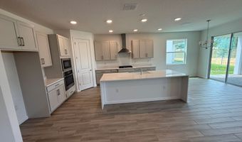 903 Pointe Emerson Blvd, Apopka, FL 32703