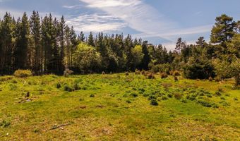 89371 HEMLOCK Ln, Bandon, OR 97411