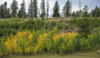 381 OLD CAMP Rd, Bellvue, CO 80512