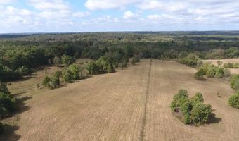 County Road 113, Alton, MO 65606