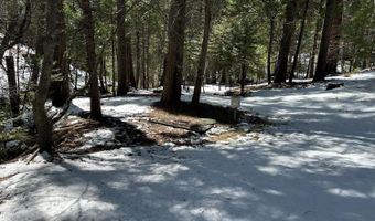 1968 Flamingo Way, Arnold, CA 95223