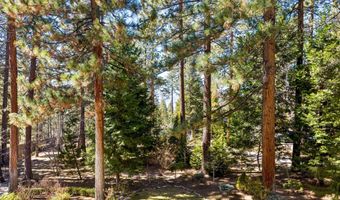 15 Kelly Cir, Glenbrook, NV 89413