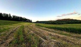TBD Bear Pen Rd, Arkansaw, WI 54721