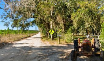 4506 10th St, Bell, FL 32619