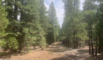 Fargo Rd, Alturas, CA 96101