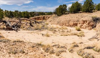 El Rito Estates, Abiquiu, NM 87510