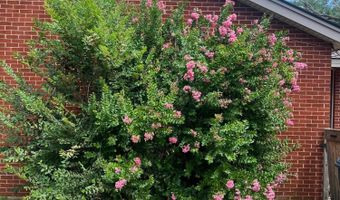 1215 S Milam St, Amarillo, TX 79102