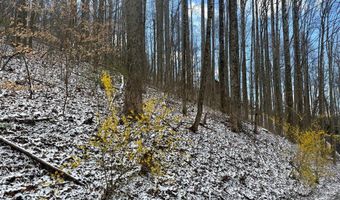 Letties Ln, Balsam, NC 28779