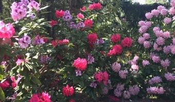 355 Granite St, Ashland, OR 97520