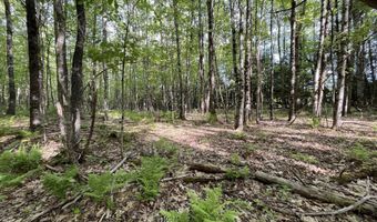 Map17-Lot 31 & 33 River Road, Bath, NH 03740