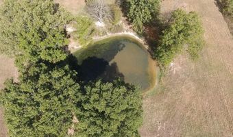 000 County Road 113, Alton, MO 65606