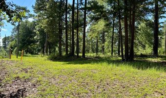 475 Co Rd 411, Abbeville, AL 36854