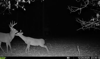 County Road 72, Ariton, AL 36311