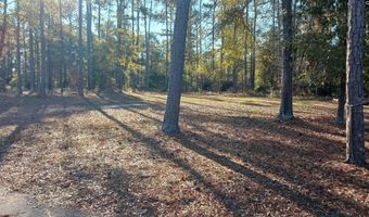 133 Tam O Shanter Dr, Blythewood, SC 29016