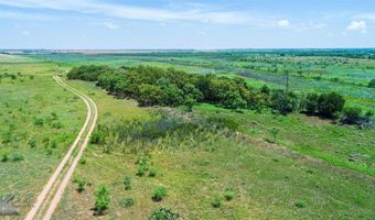 7333 County Road 463, Anson, TX 79501