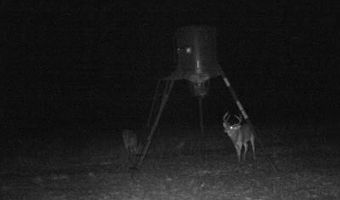 Tbd Hwy 6, Albany, TX 76424