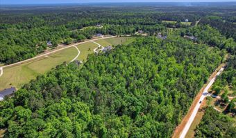 3342 Tom Bartles Rd, Appling, GA 30802