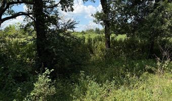 543 Leisure Land Pl, Adair, OK 74332