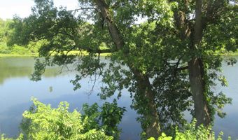 32 CRESCENT LAKE Lk, Alpha, IL 61413