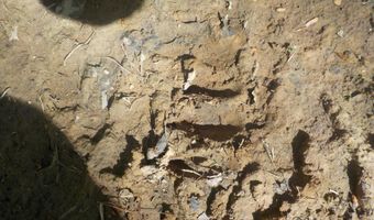 Steve Brown Road, Bean Station, TN 37708