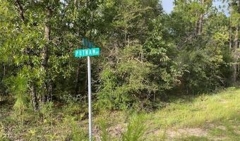 Putnam Avenue lot 5, Alford, FL 32420