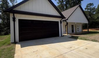 1007 CR 208, Blue Springs, MS 38828