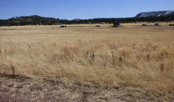 34 County Road 2100, Alpine, AZ 85920