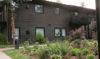 950 E Durant Avenue 4, Aspen, CO 81611