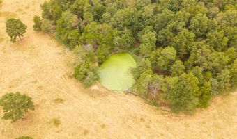 1350 County Road 405, Alton, MO 65606