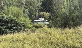 43-1966 PAAUILO MAUKA Rd, Honokaa, HI 96727