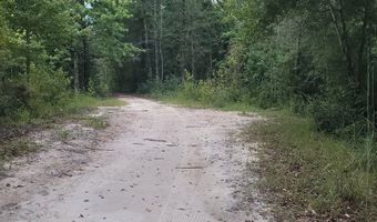 00 Coot Adams Rd, Ashford, AL 36312
