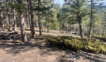 399 N Skinner Rd, Allenspark, CO 80510