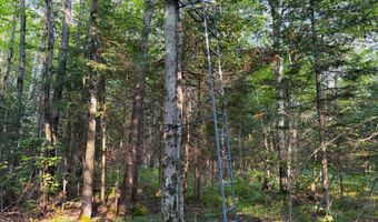 County Road Y, Aniwa, WI 54408