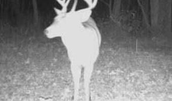 CR 6121, Baldwyn, MS 38824