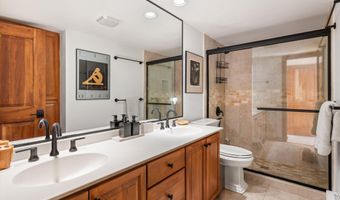 326 W Hopkins Ave, Aspen, CO 81611