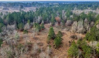 241 Foskey Cemetary Rd, Adrian, GA 31002