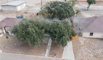 312 N Alamo St, Alton, TX 78573