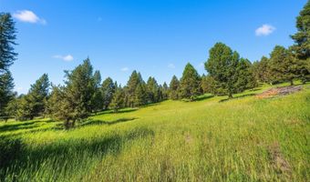 Colters Run 13, Big Sky, MT 59730