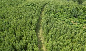 0 County Road 204, Ariton, AL 36311