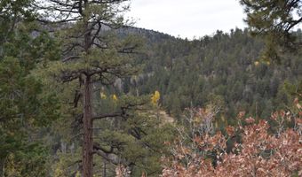 00 Forest Service Rd 450, Grants, NM 87020