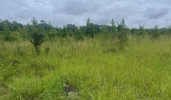 00 Belcher Ln, Bainbridge, GA 39817