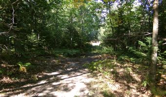 V/L 30AC Lake Winyah Road, Alpena, MI 49707