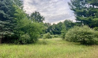 1143 38th St, Allegan, MI 49010