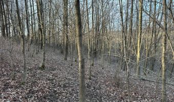 Lot 4 Mud Run Rd, Addison, NY 14801