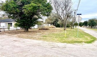 Elbano Street, Alice, TX 78332