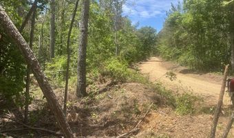 County Road 244 Tract A, Abbeville, MS 38601