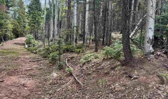 Lot 455 El Camino Real, Angel Fire, NM 87710