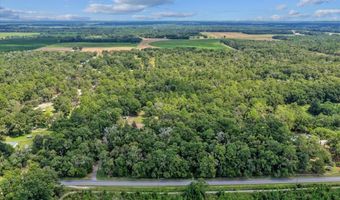 4700 55th Ave, Bell, FL 32619