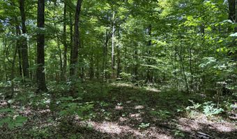 6 8 Acres Friendship South Rd, Afton, TN 37616