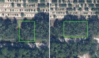 2252 W Border Rd, Avon Park, FL 33825